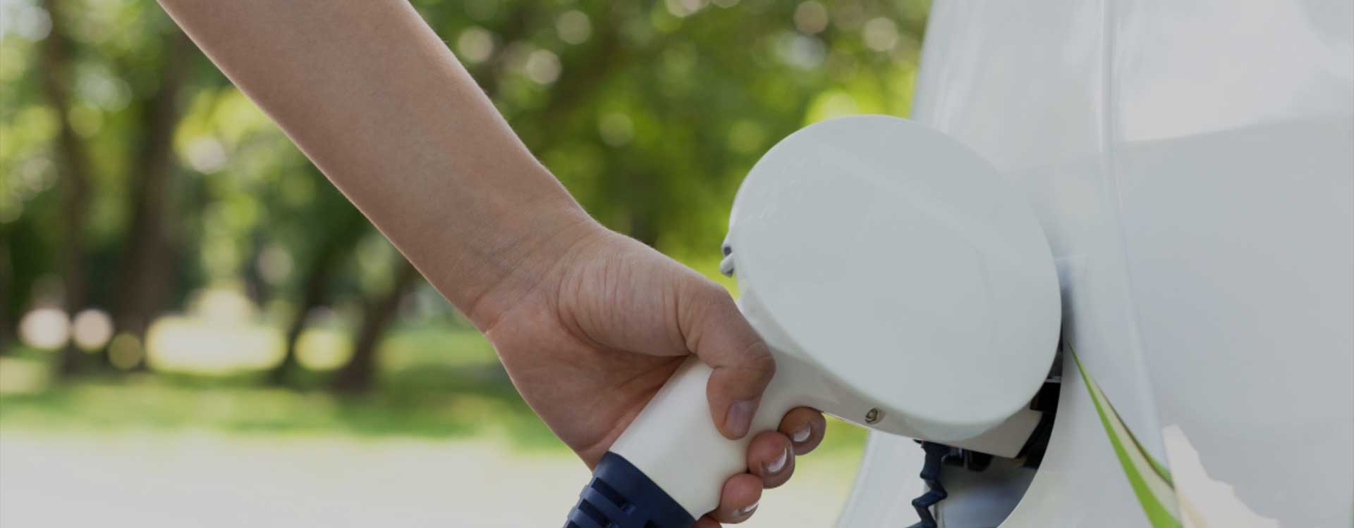 อะไรคือความแตกต่างระหว่างแบตเตอรี่ลิเธียมขายส่งและแบตเตอรี่ปกติ?