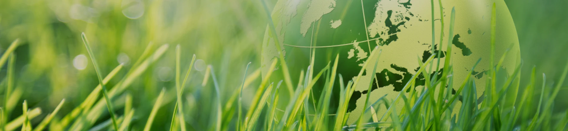 เปลี่ยนพลังงานของคุณเป็นแบตเตอรี่ลิเธียมไอออนที่ยั่งยืน